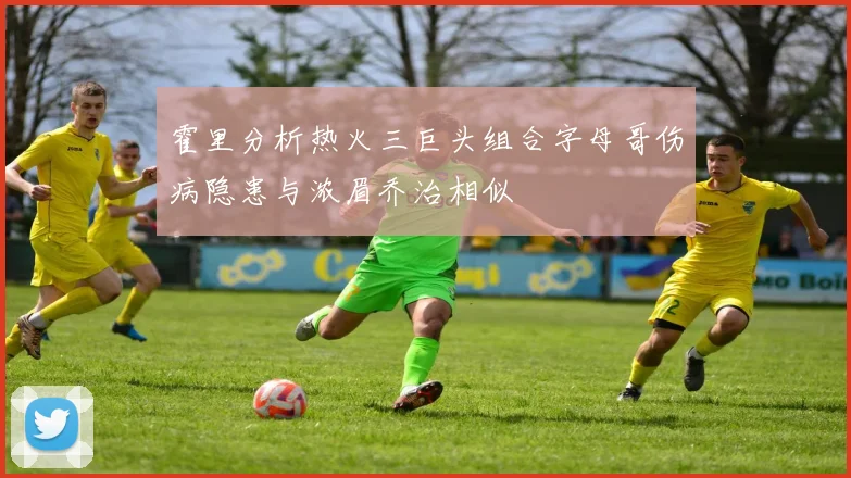 霍里分析热火三巨头组合字母哥伤病隐患与浓眉乔治相似